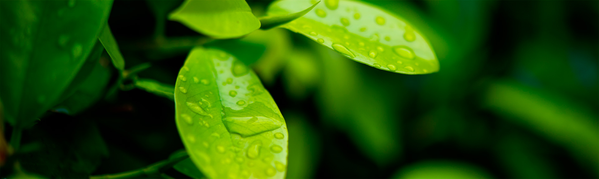 Meccanochimica: una svolta green nell'industria farmaceutica?